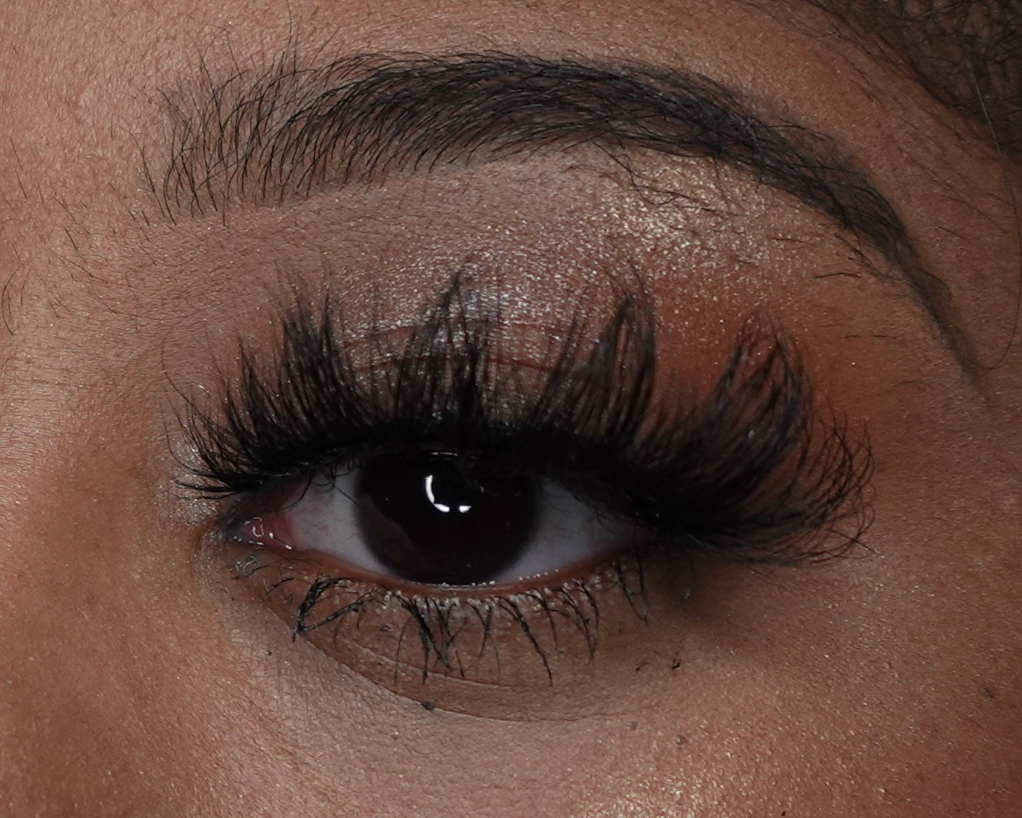 Bossy lashes